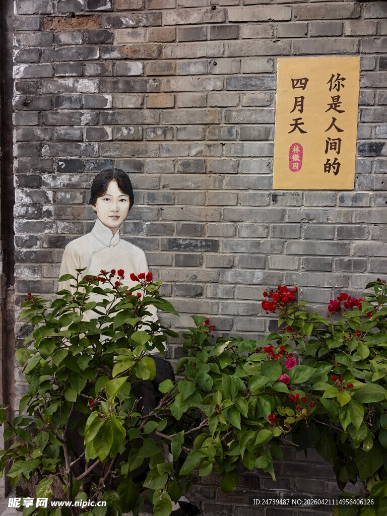 老北京胡同的林徽因