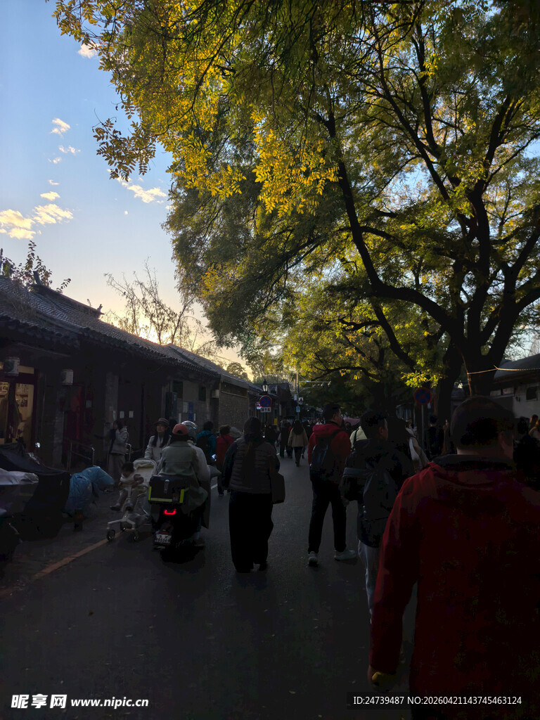 秋天的老北京胡同