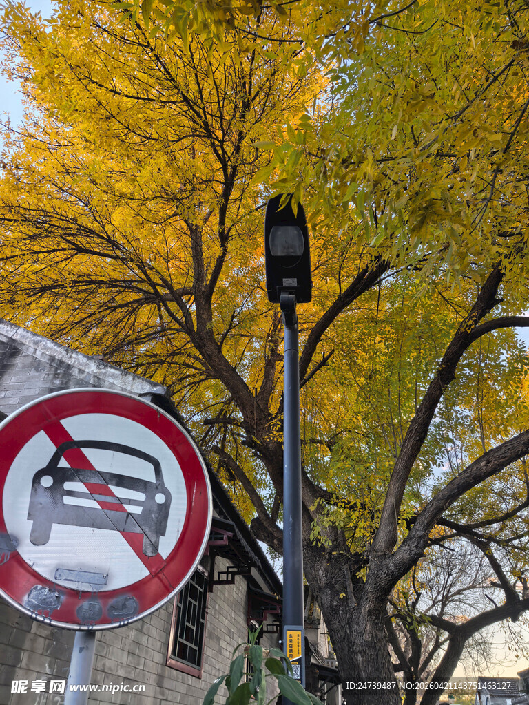 秋天的老北京胡同