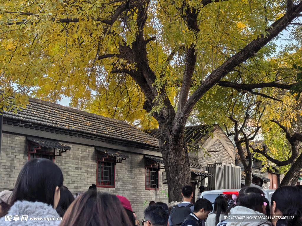 秋天的老北京胡同
