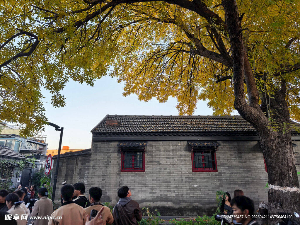 秋天的老北京胡同