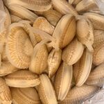 海鲜水产花甲特写