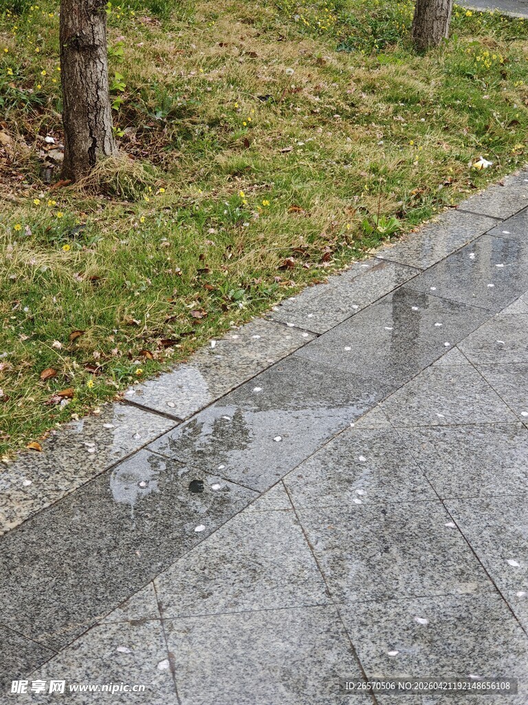 雨后湿润的砖石路面