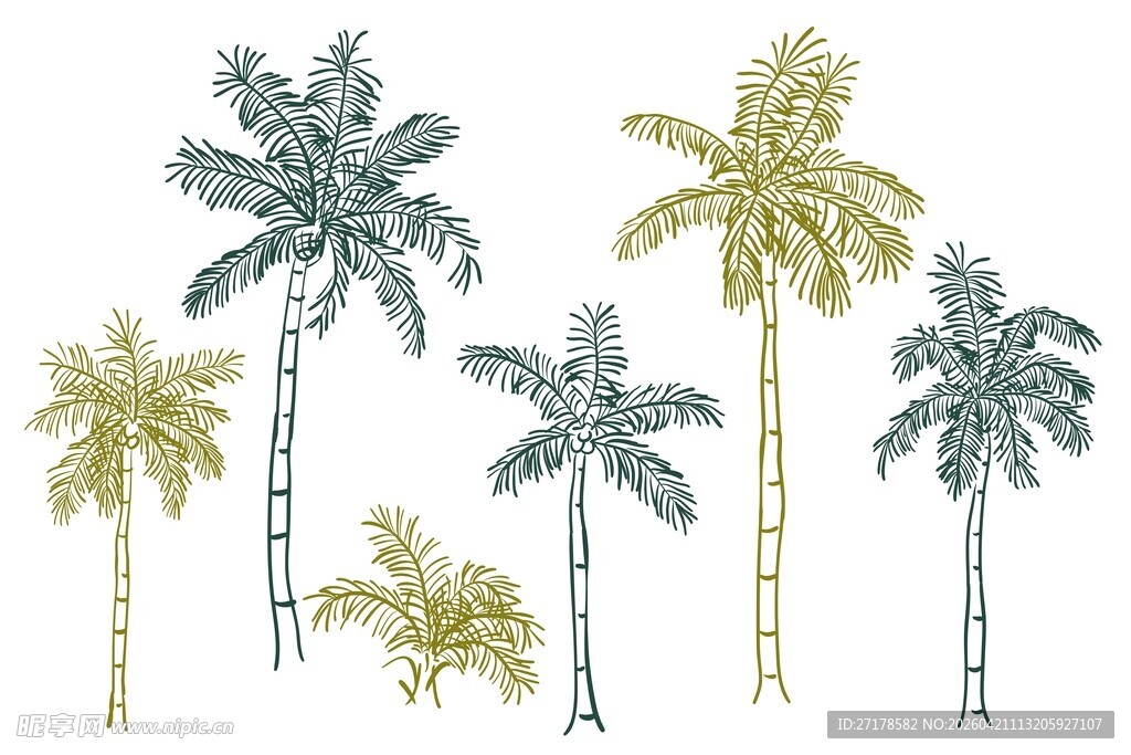 手绘椰树素材
