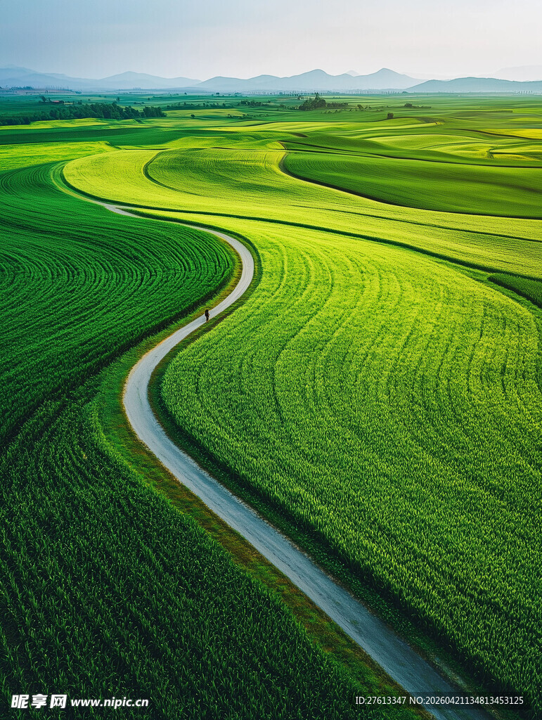 蜿蜒小路穿行翠绿田野