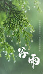 谷雨海报