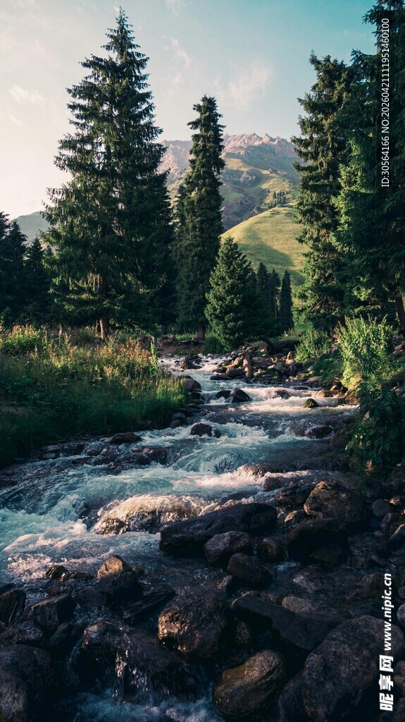 山间溪流旁的绿意景致