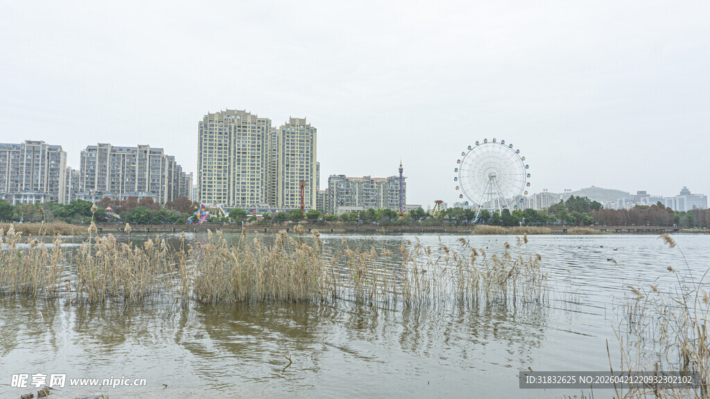 城市湖畔风景