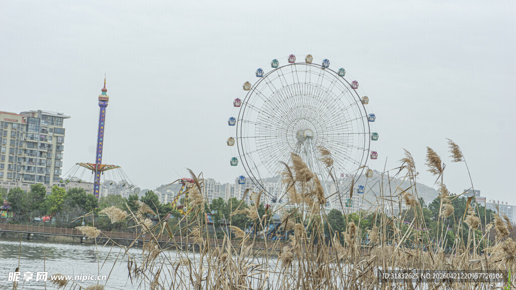 城市中的摩天轮景观
