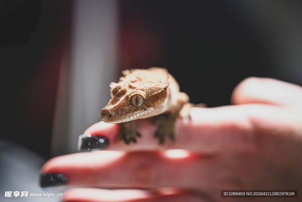 手托精致木雕小物件