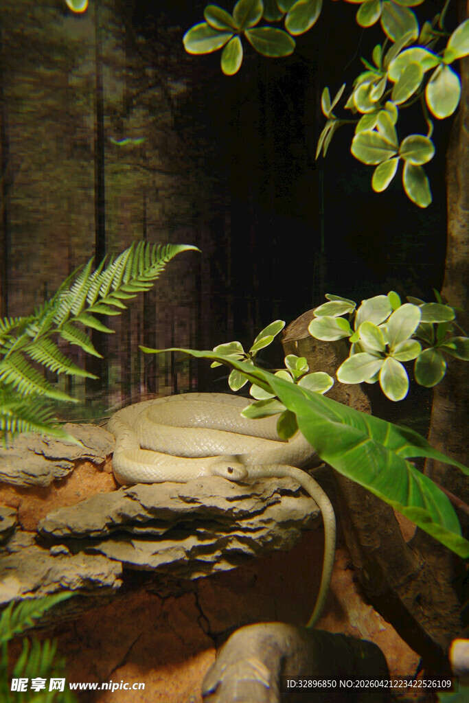 室内绿植与岩石景观