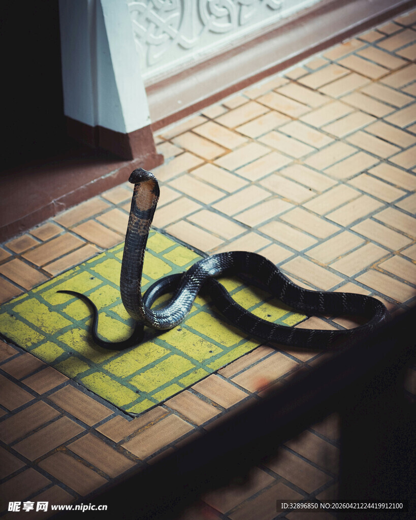 地上的黑色皮带