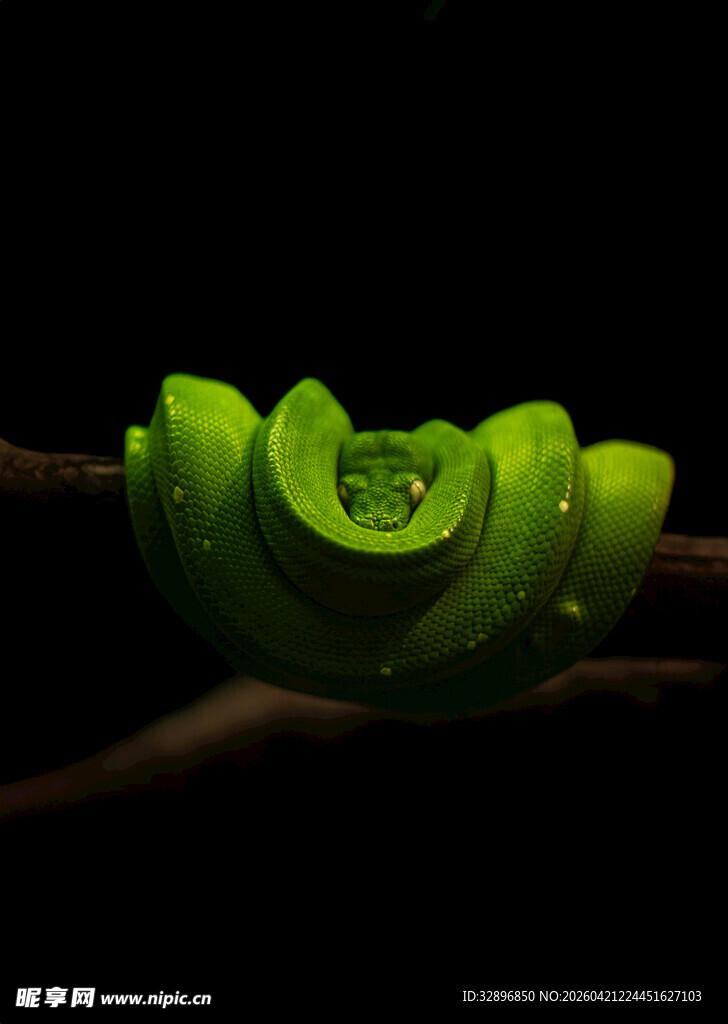 翠绿玉器摆件展示