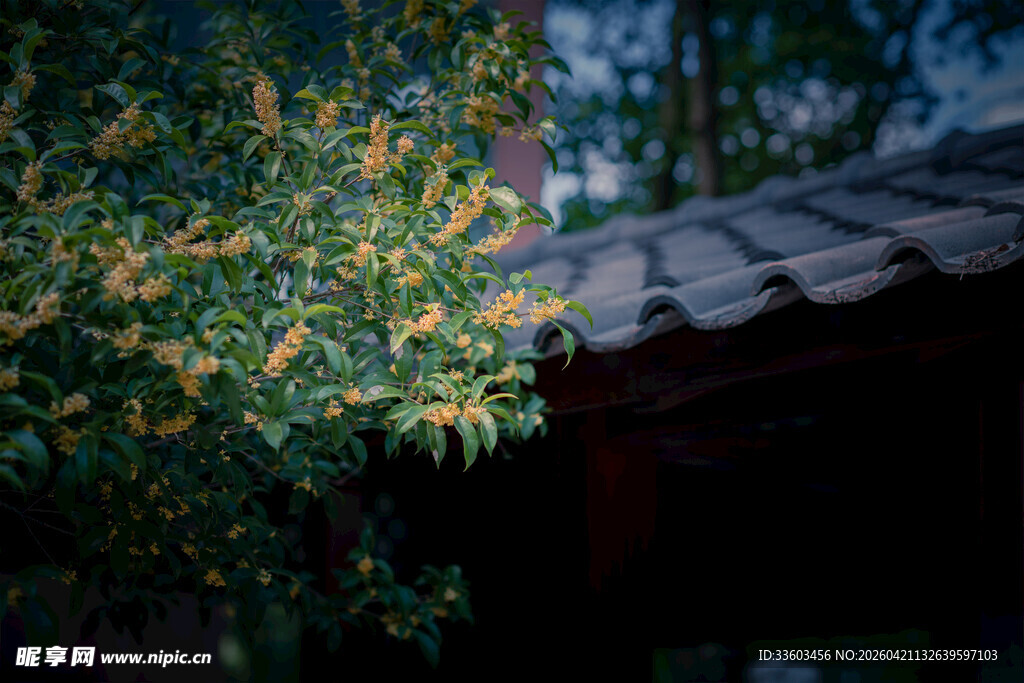 古建旁的繁茂绿植