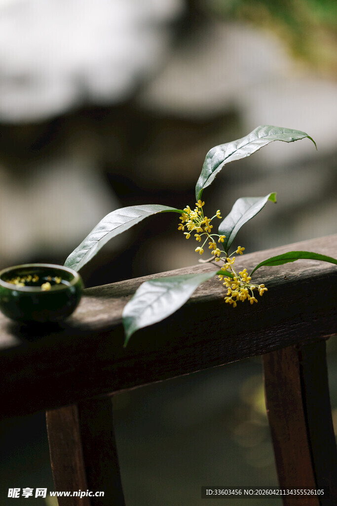 栏杆上的桂花枝叶与茶具