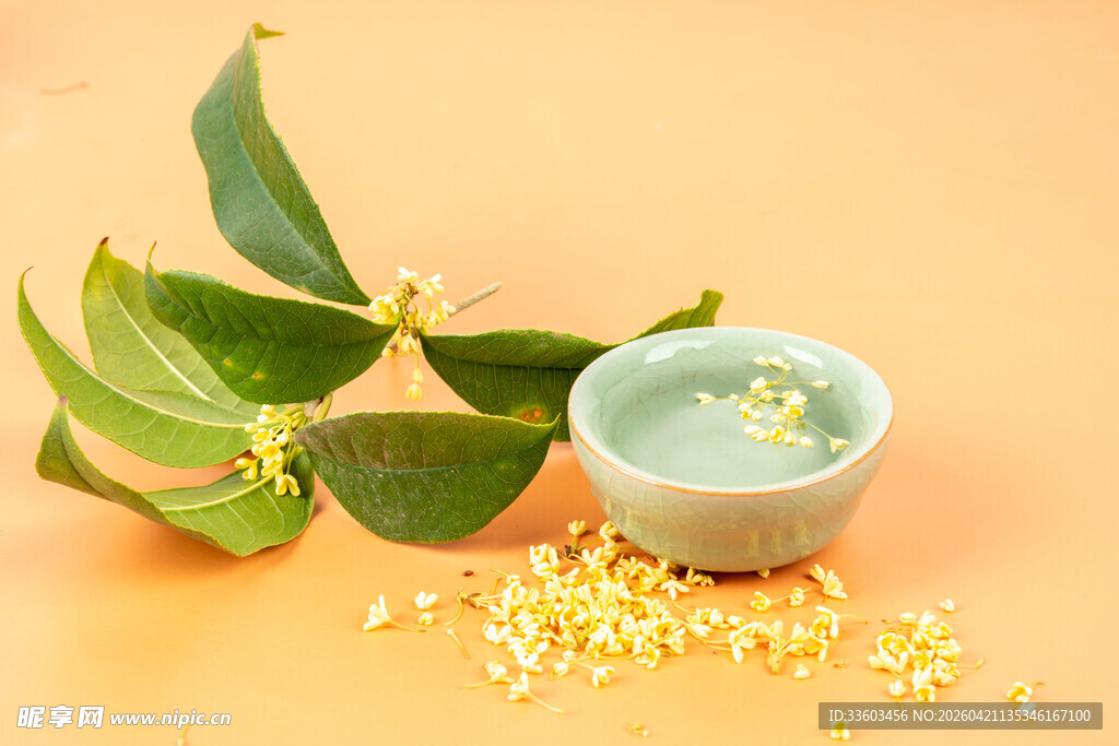 桂花茶与绿叶的雅致组合