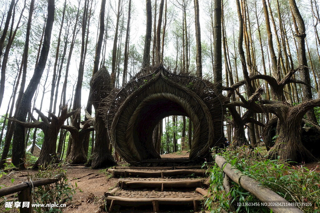森林中的神秘拱形建筑