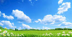 蓝色白云绿草地