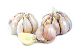 新鲜大蒜
