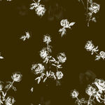 黑白花卉图 优雅别致