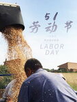 劳动节农民田间忙碌场景