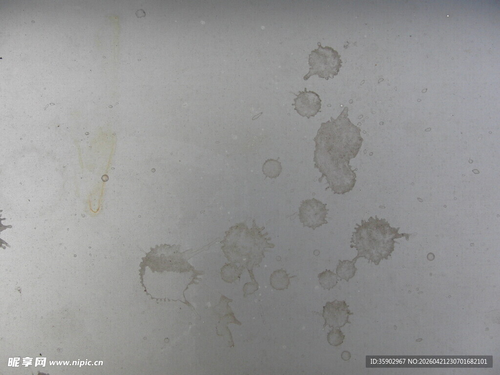 显微镜下的微生物形态