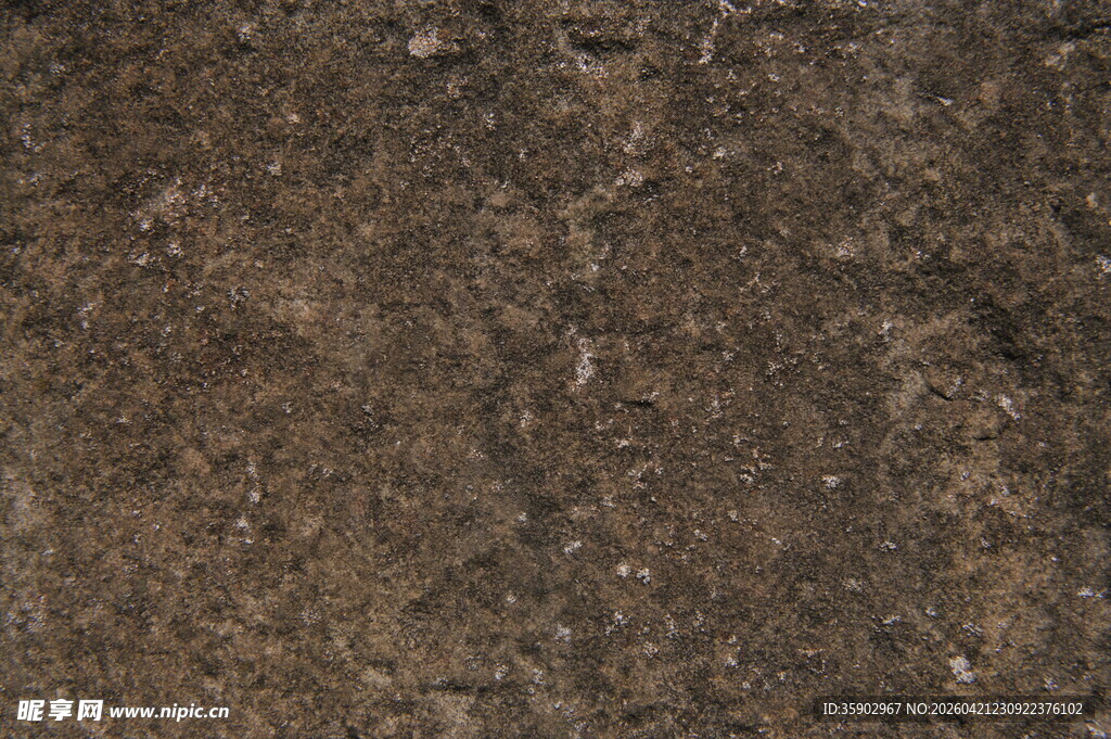 细腻土壤纹理特写