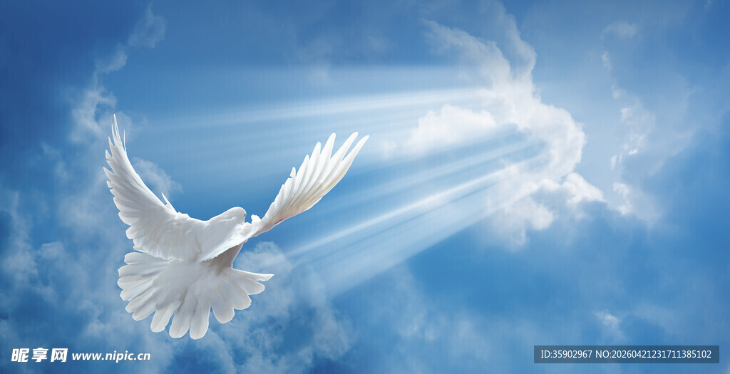蓝天白鸽自由美好瞬间