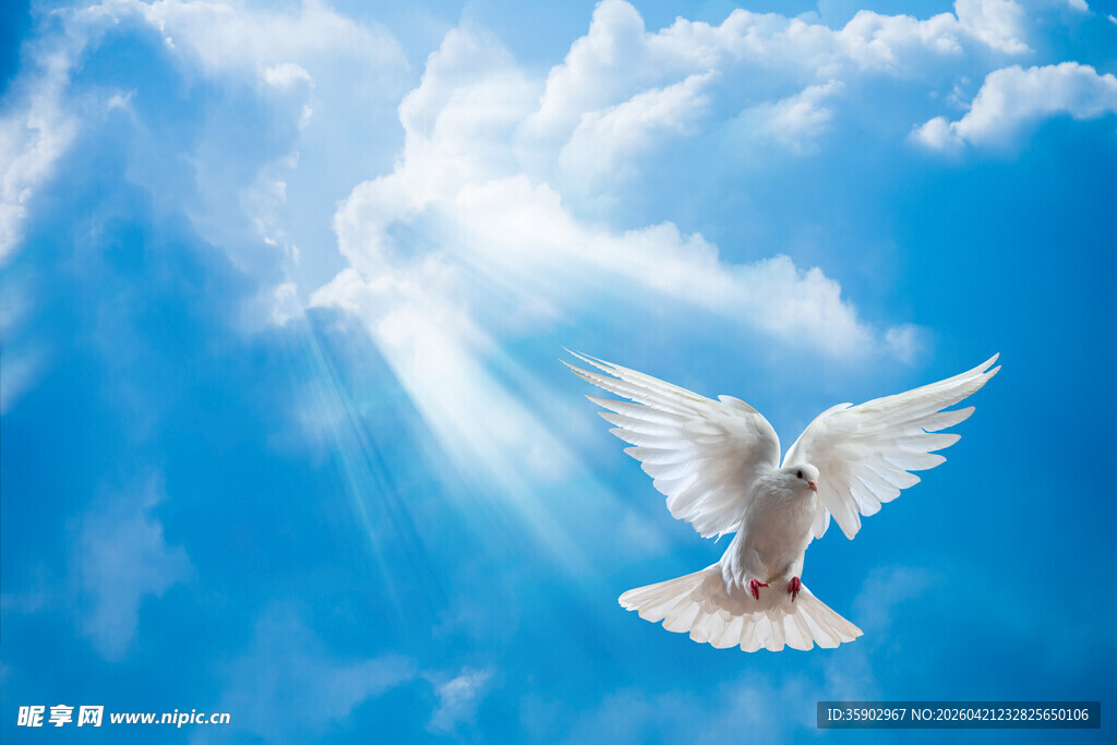 蓝天白鸽自由的美好图景