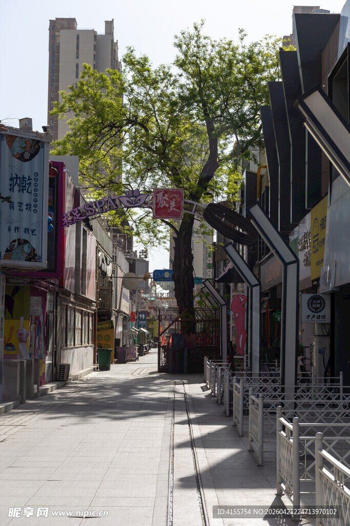 城市街道旁的绿树与建筑