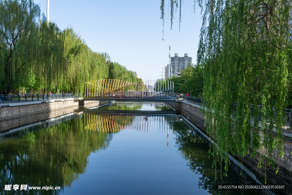 河畔垂柳小桥静谧水景