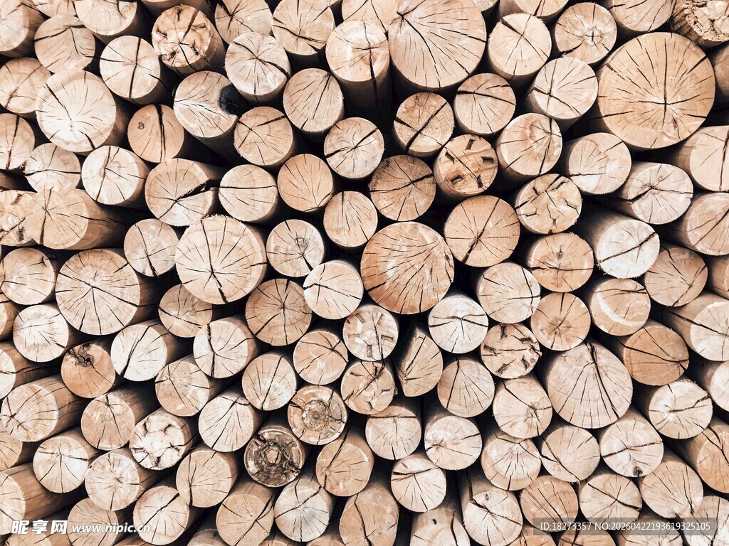 整齐堆放的木柴