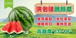 包心爆甜麒麟瓜