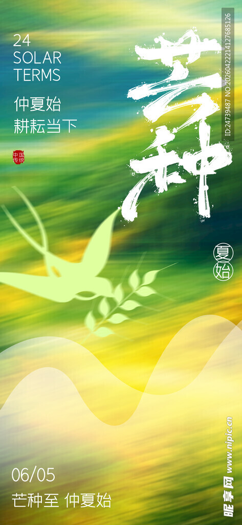 芒种海报