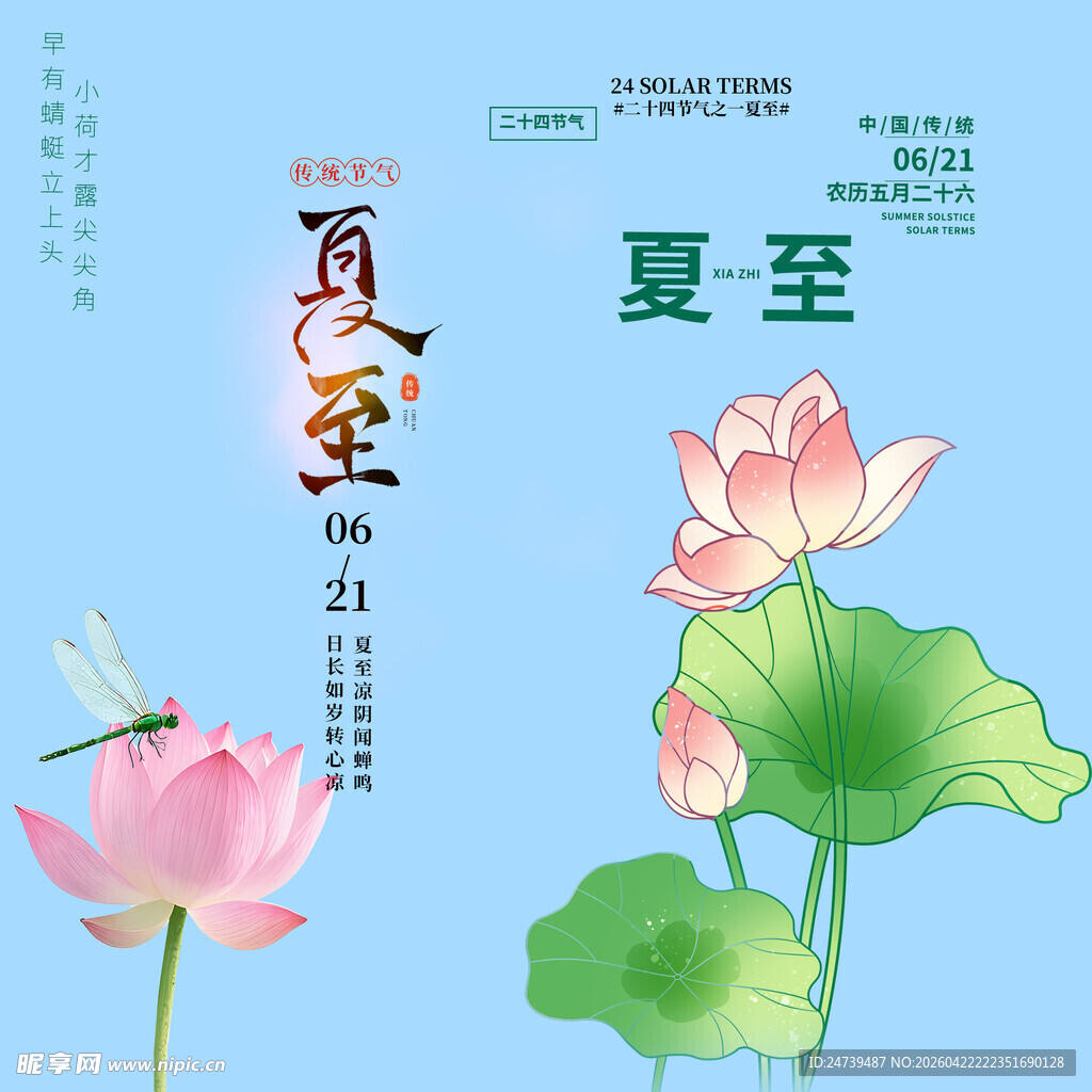 夏至素材