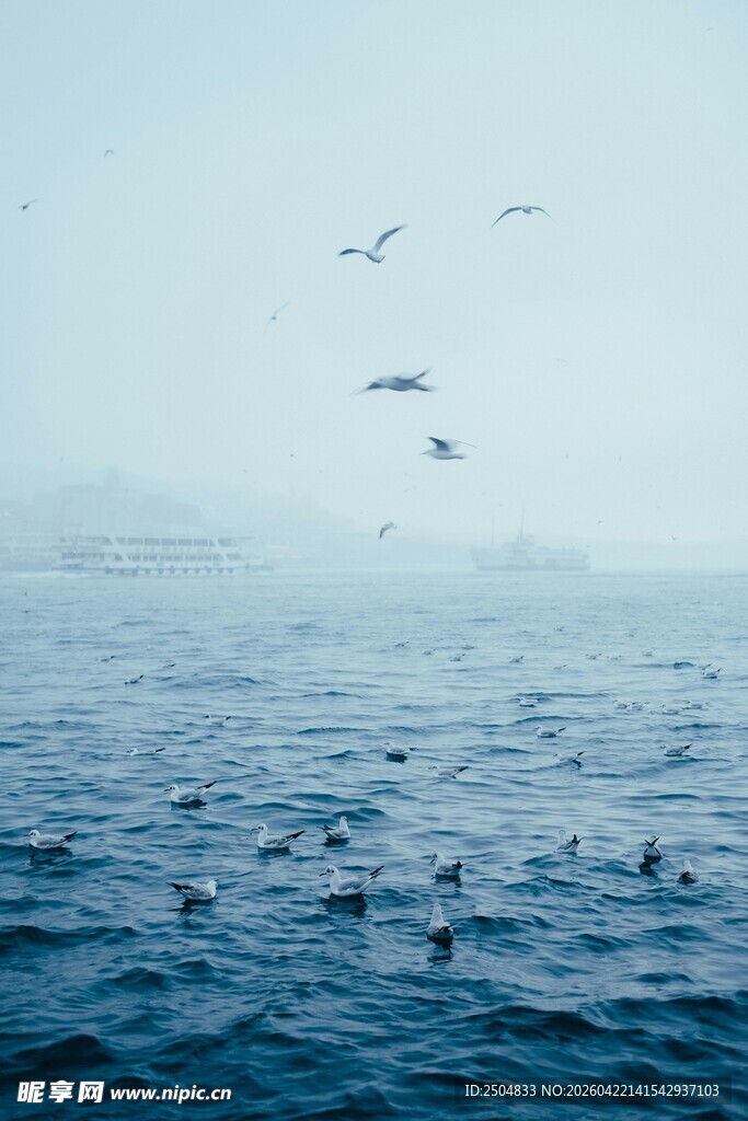 海面上飞翔的海鸥与船只