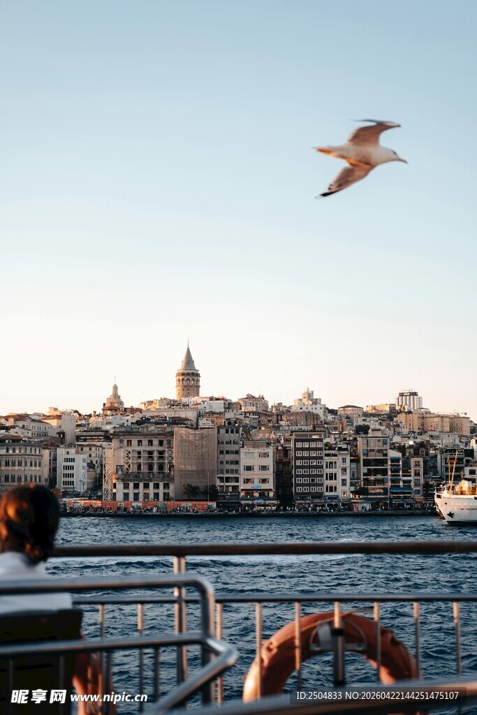 海上城市风景与飞翔海鸥