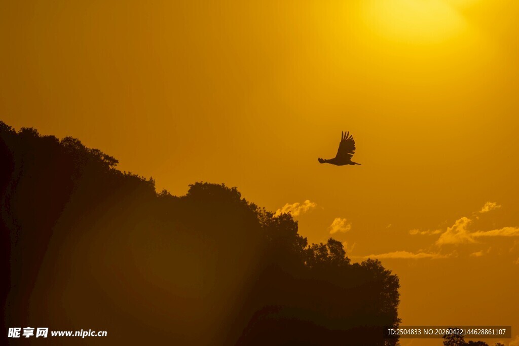 夕阳下飞鸟掠过巍峨山峦