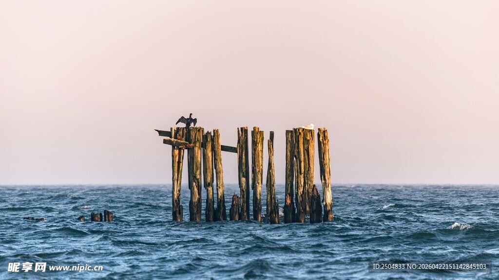 海上孤立的老旧木桩