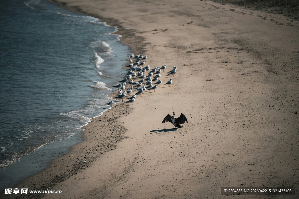 海滩上的人群与海浪美景