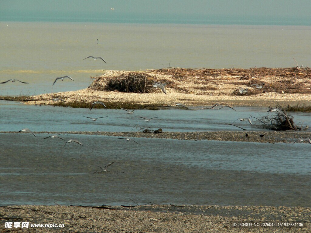 海边浅滩景象