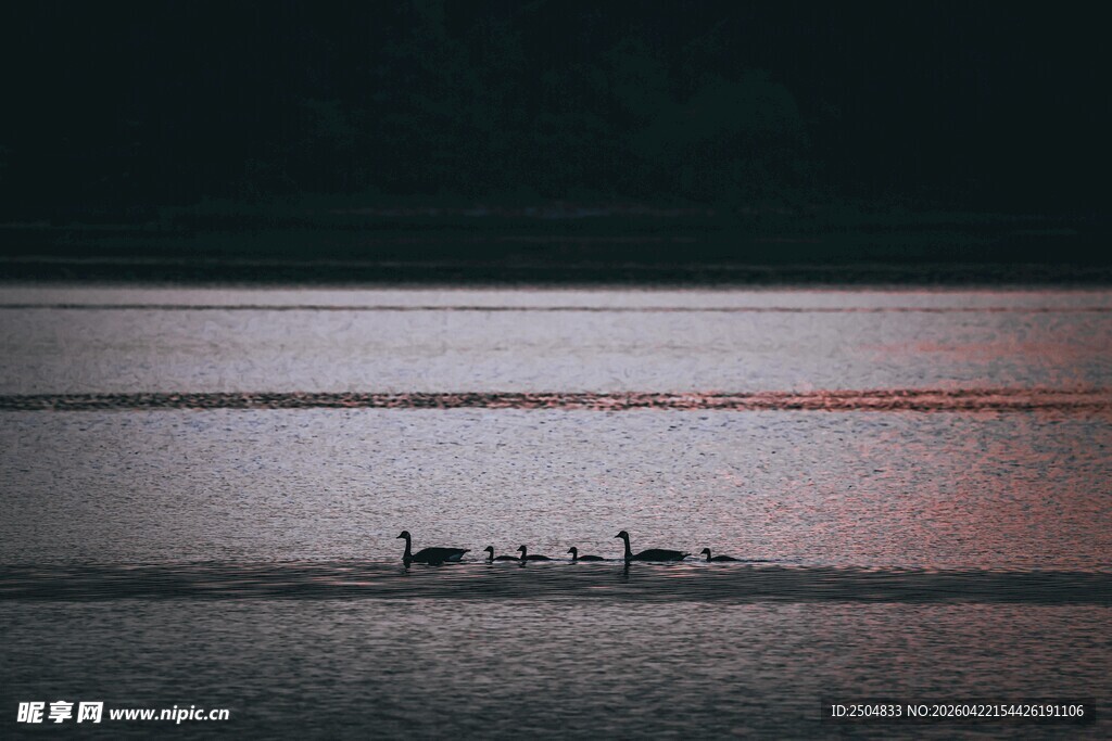 黑暗中孤独的铁轨