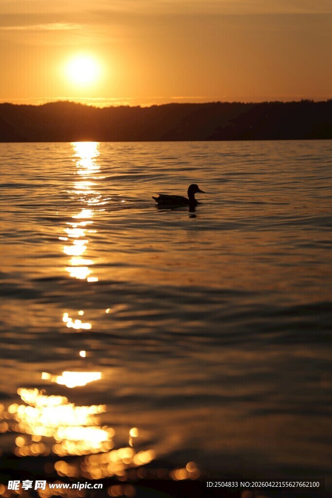 夕阳下海面的孤舟