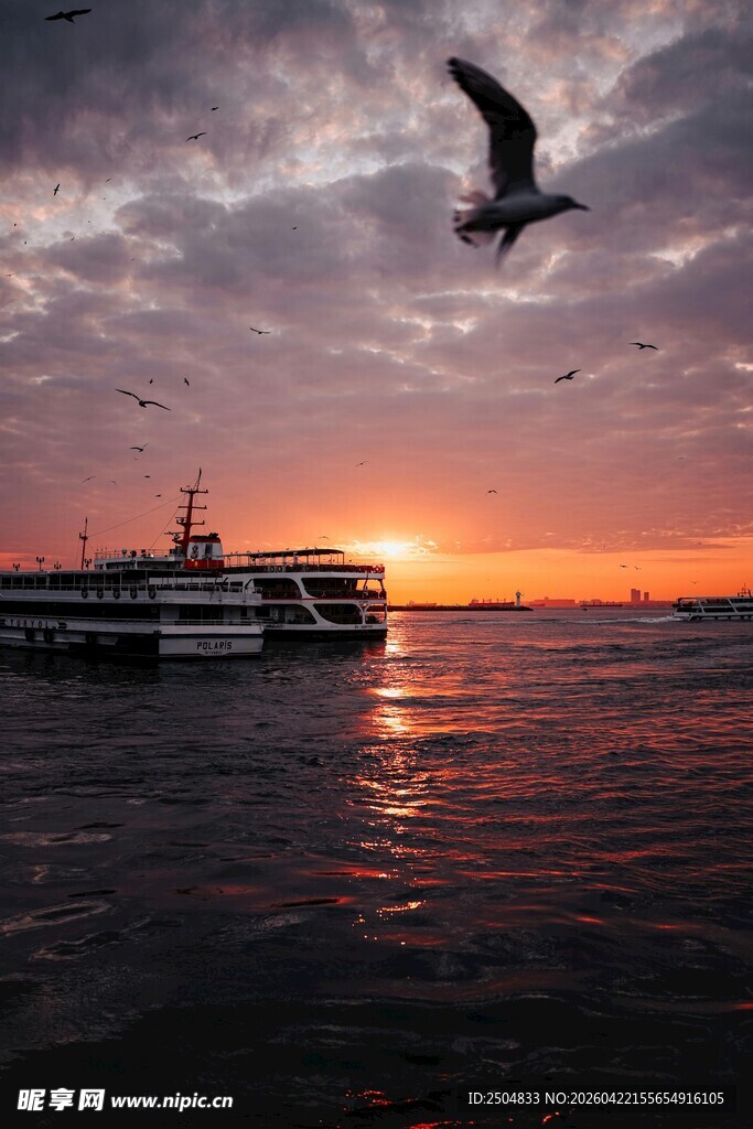 海上日落海鸥伴船景