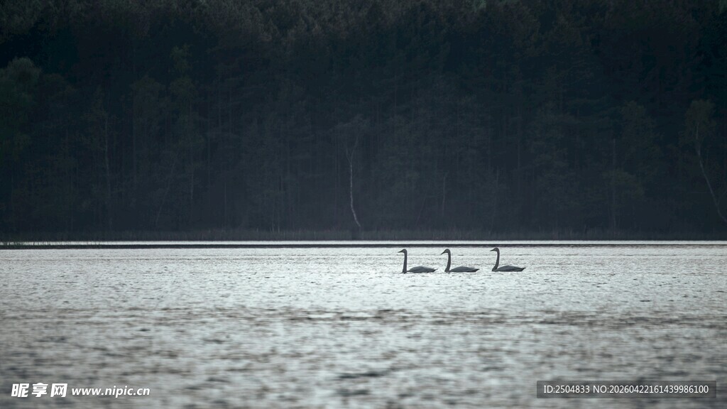 湖面上的小船与宁静夜色