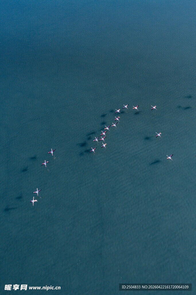 海面上成群船只排列景象