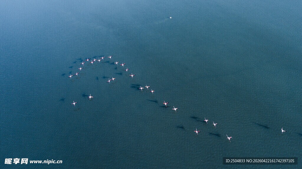 海上船只编队壮观景象
