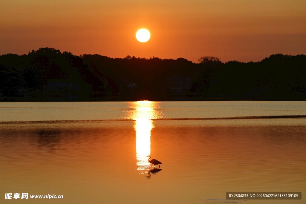夕阳下宁静湖面的美丽景象
