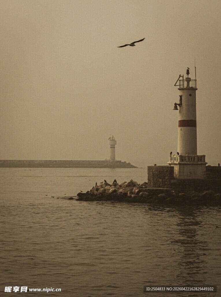海上灯塔与飞翔的鸟儿