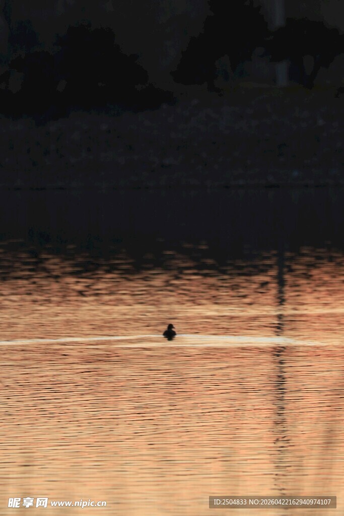 夕阳下湖面的孤独身影